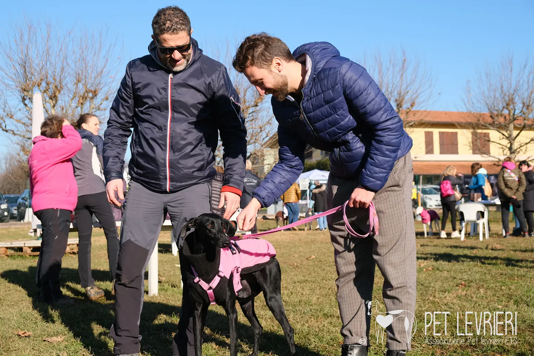 Hada Galgo femmmina nera arrivo 22