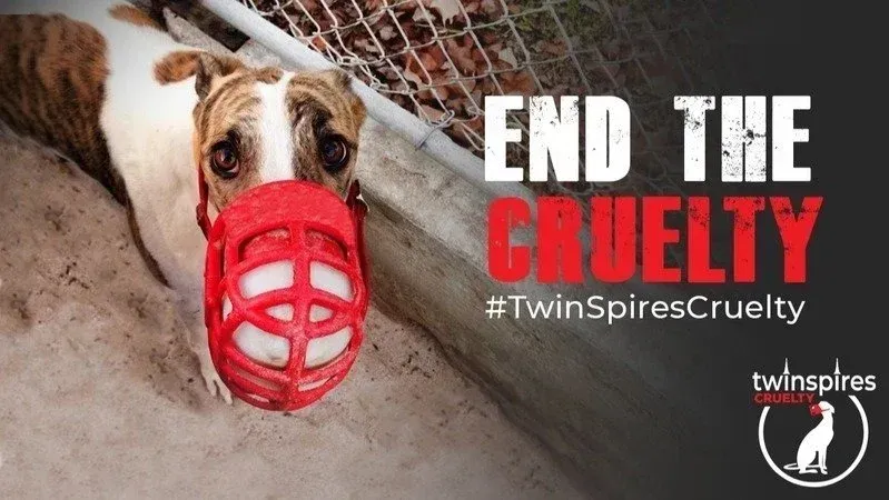 HbqRxkVpJBrifdZ 800x450 noPad