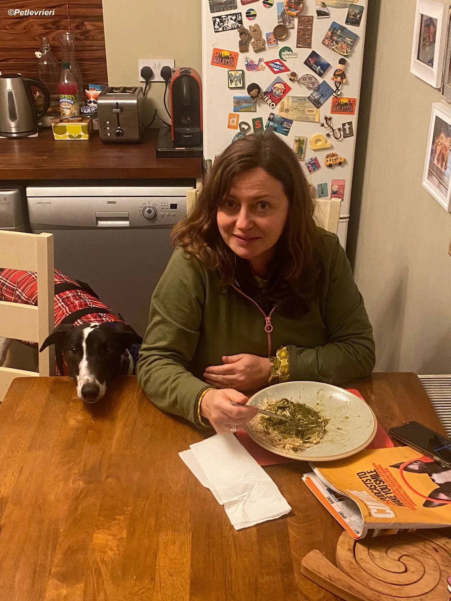 Hercules adozione levrieri greyhound 23