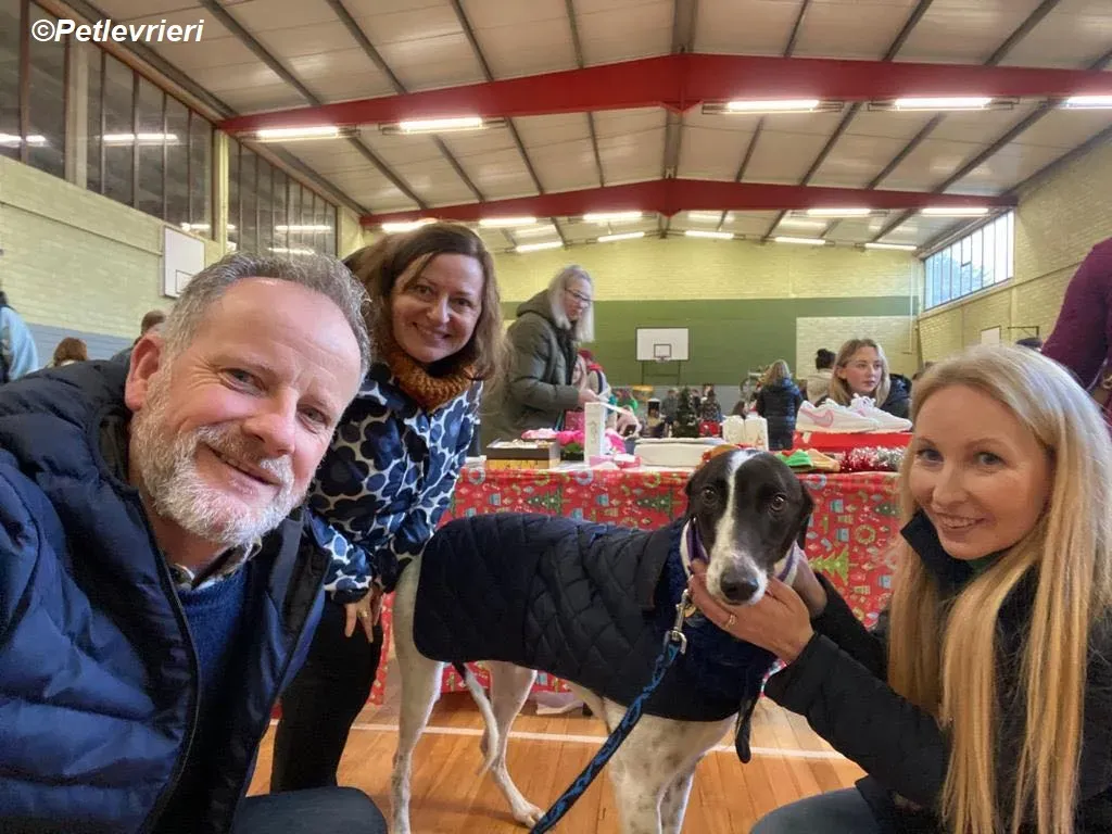 Hercules adozione levrieri greyhound 38