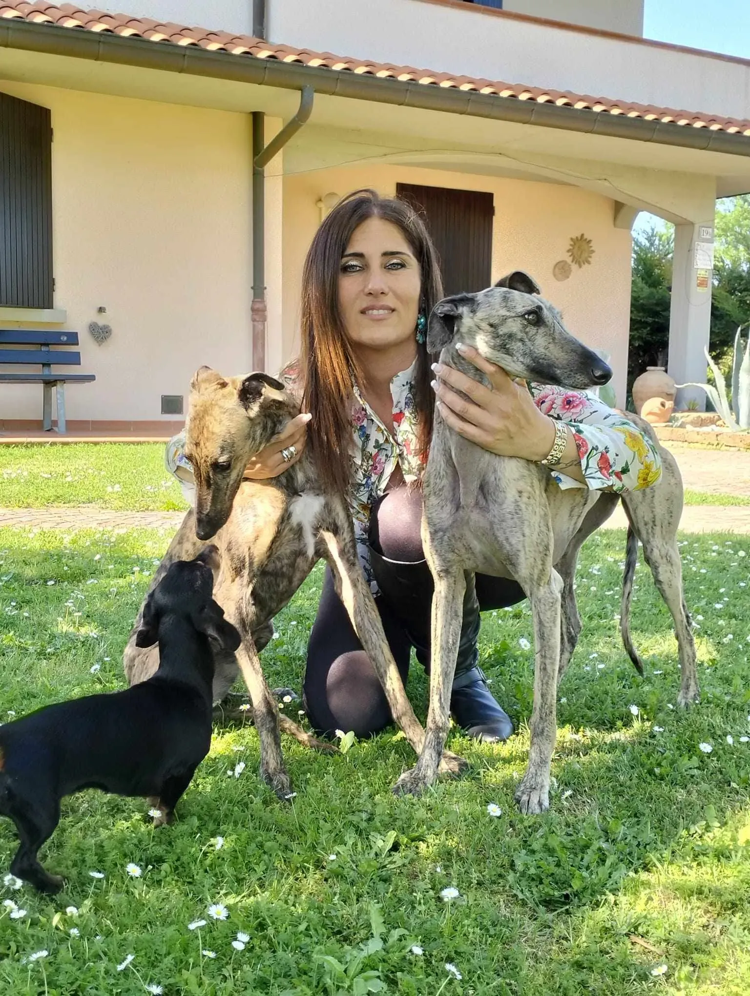 Hester Helena galgo pet levrieri felici casa10.jpg