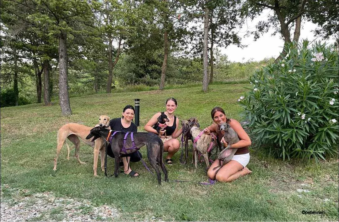 Hester Helena galgo pet levrieri felici casa7.jpg