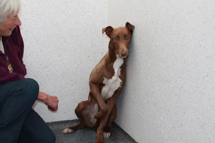 Hillary on arrival to LAW