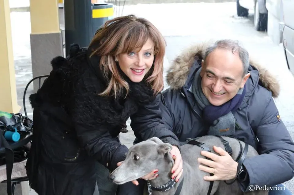 Holy Sen adozione greyhound macao 19