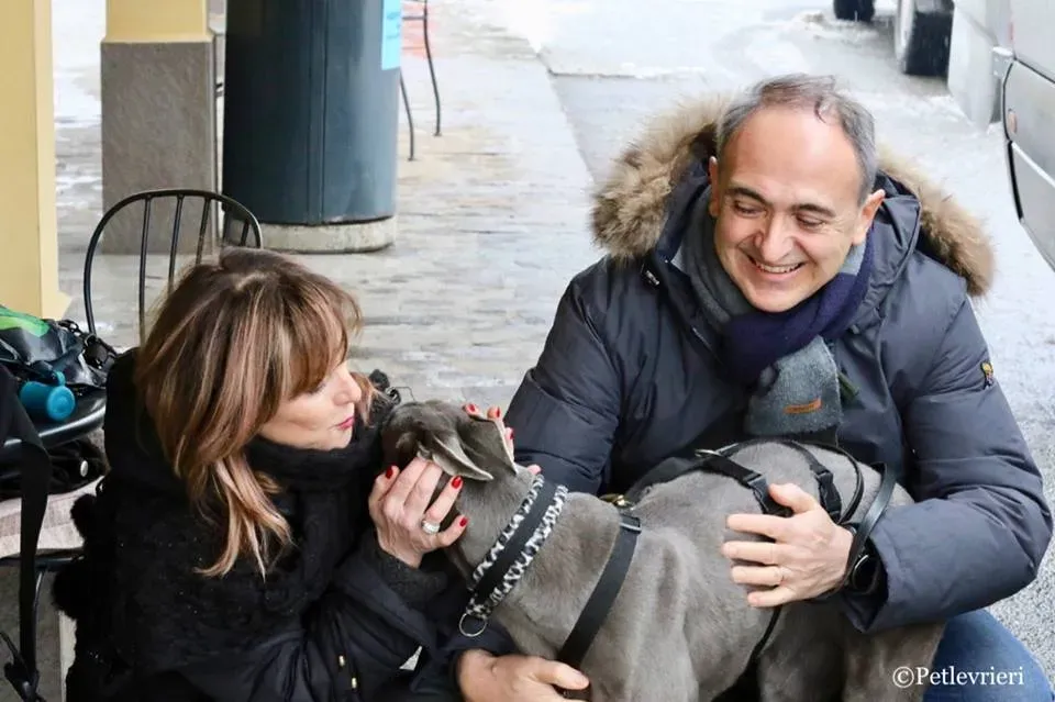 Holy Sen adozione greyhound macao 21