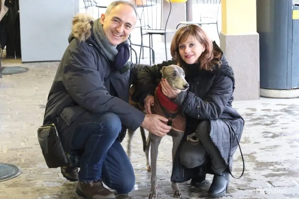 Holy Sen adozione greyhound macao 27