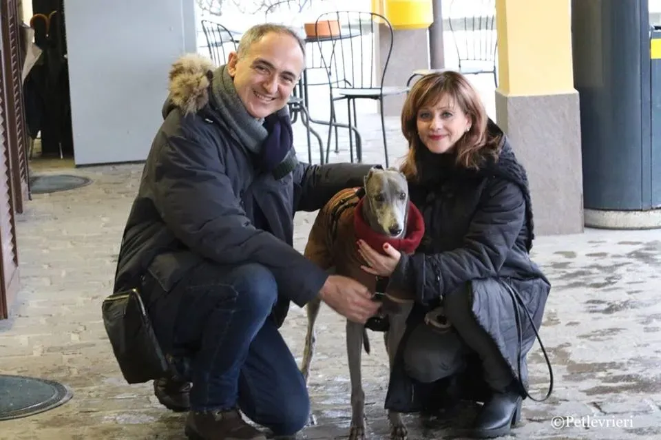 Holy Sen adozione greyhound macao 28