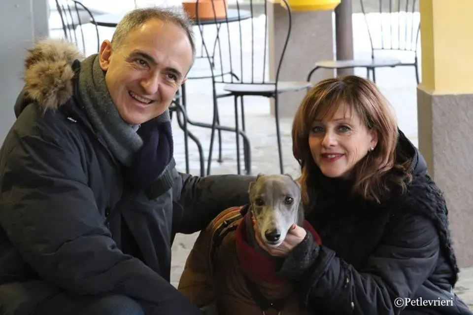 Holy Sen adozione greyhound macao 29