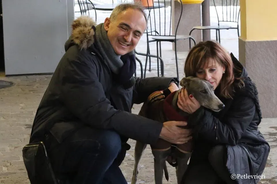 Holy Sen adozione greyhound macao 33