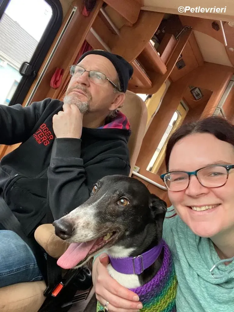 Homer adozione levrieri greyhound 31