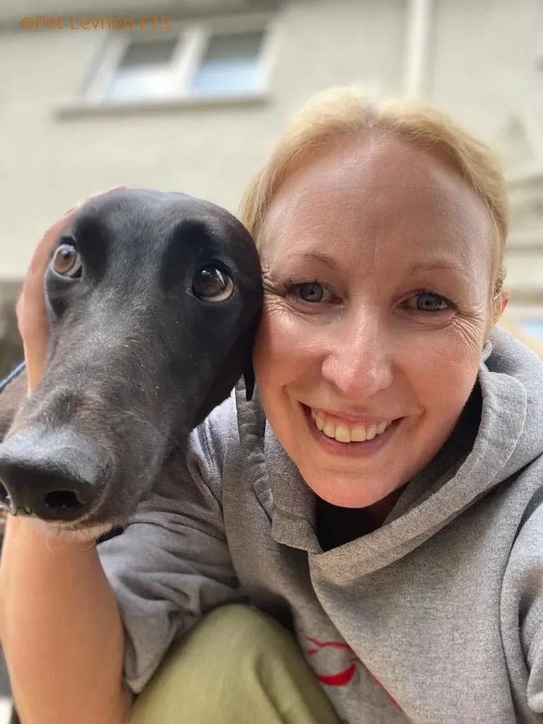 Huxley adozione levrieri greyhound 5