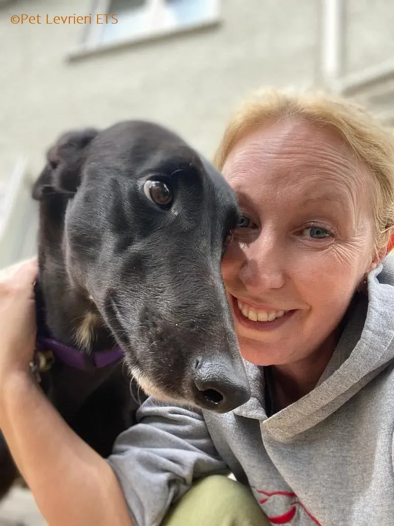 Huxley adozione levrieri greyhound 6