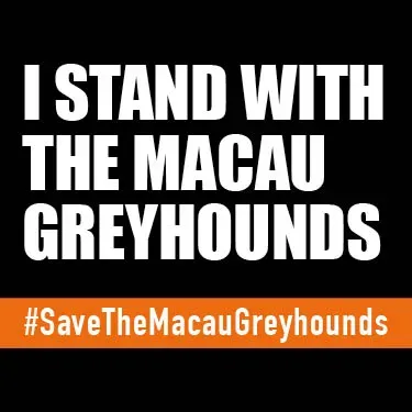 I stand AVATAR FB eng