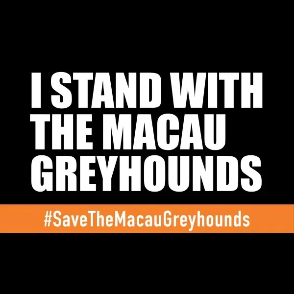 I stand AVATAR TWITTER