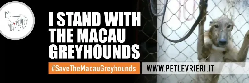 I stand TWITTER COVER Pet