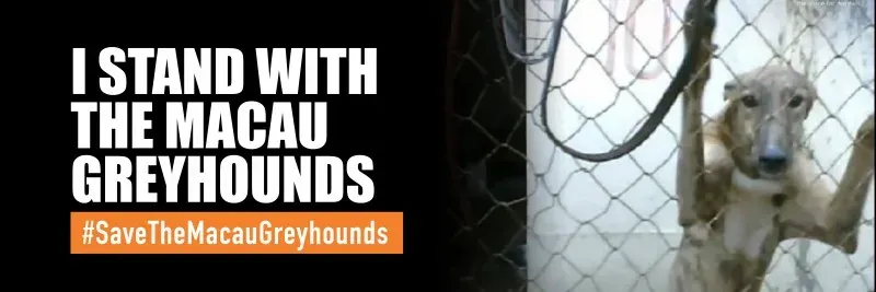 I stand TWITTER COVER