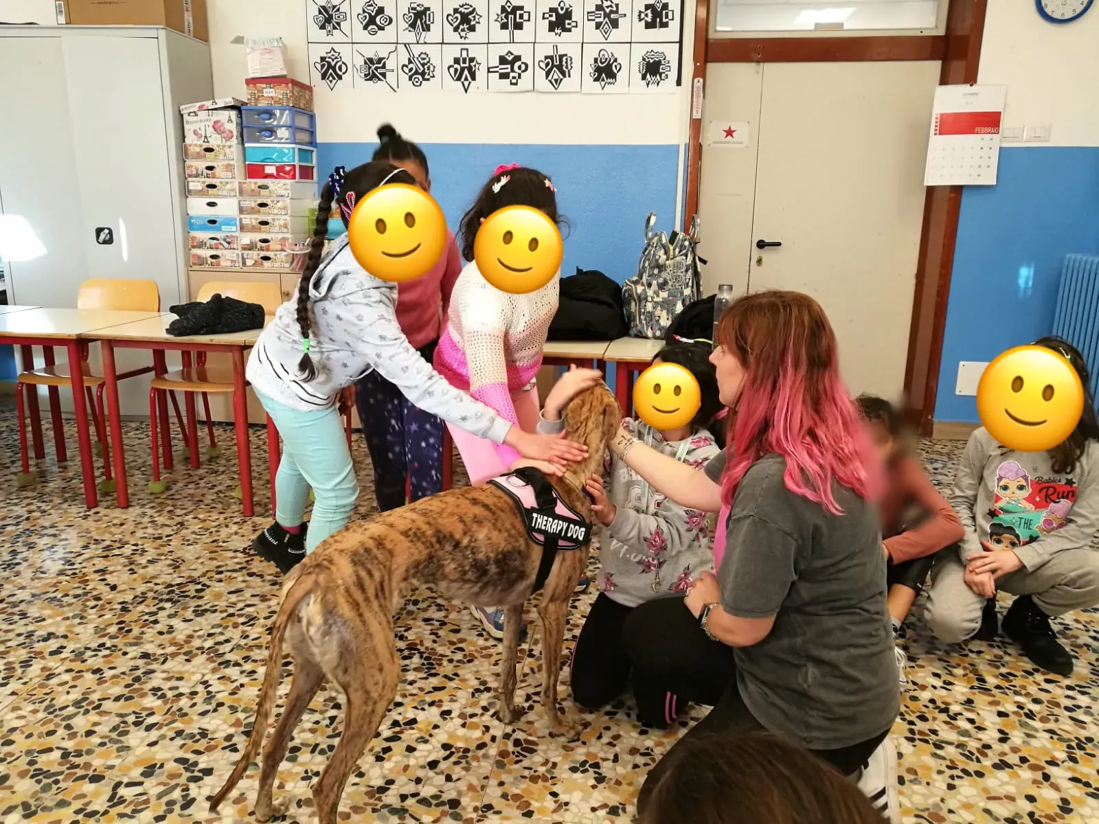 IAA pet therapy levrieri galgo greyhound 6