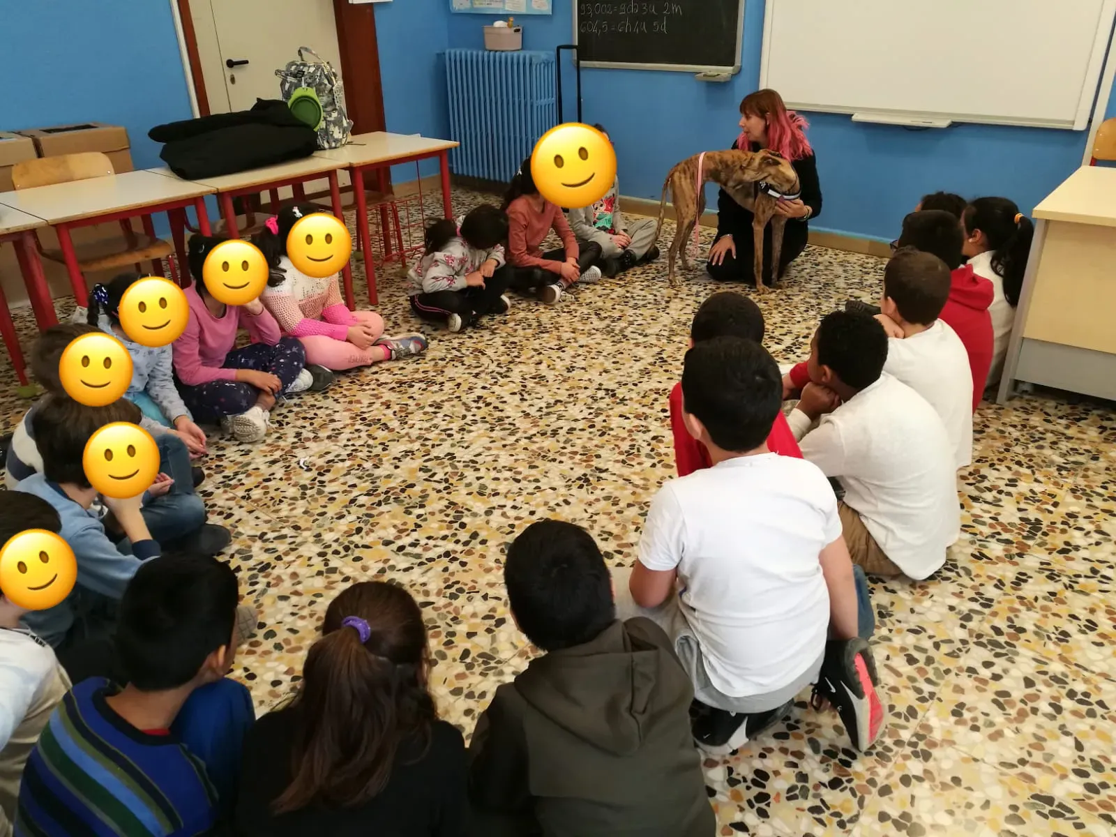 IAA pet therapy levrieri galgo greyhound 8