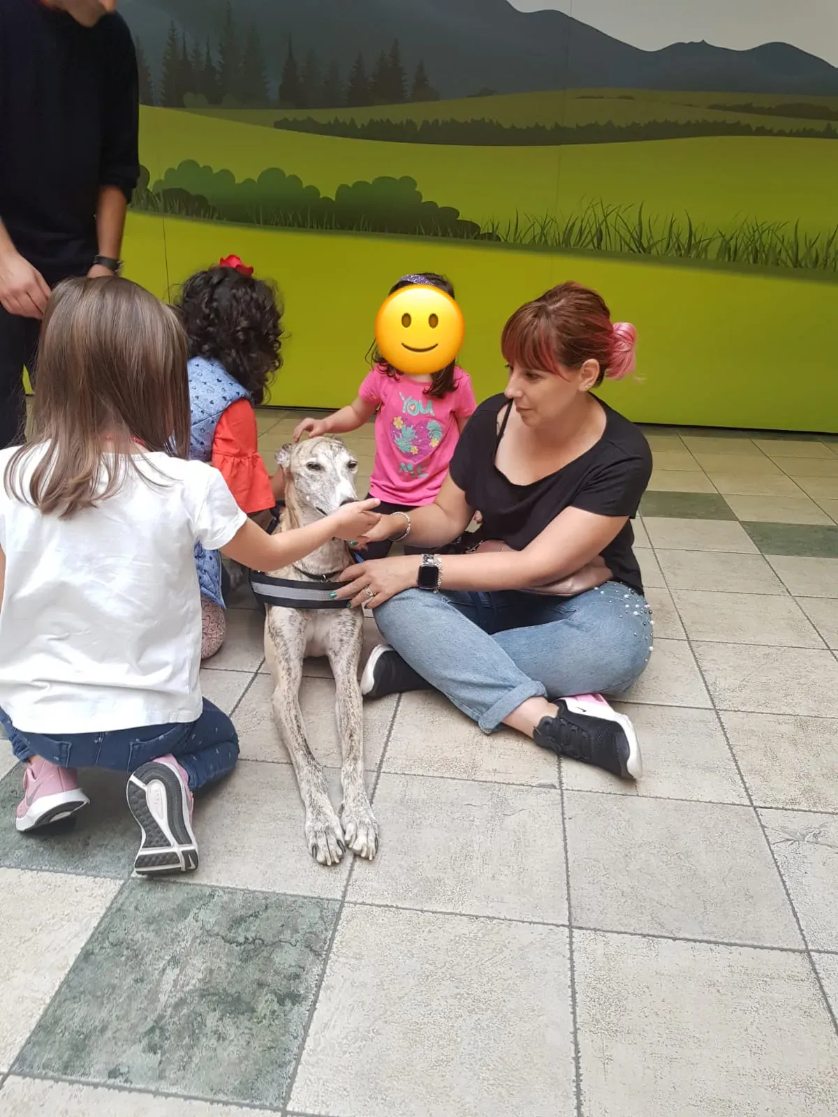 IAA pet therapy levrieri galgo greyhound 9