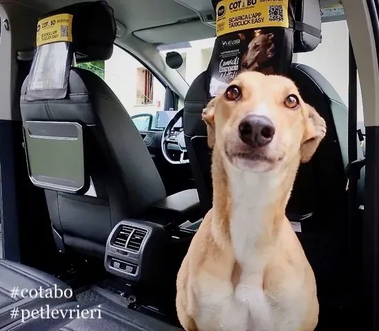 IMAGE 2019 07 12 12 18 50