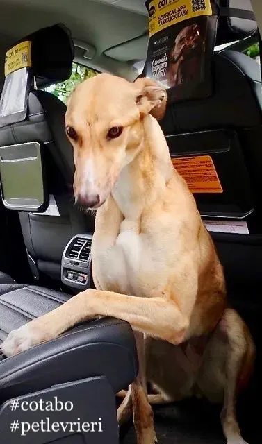 IMAGE 2019 07 12 12 19 02