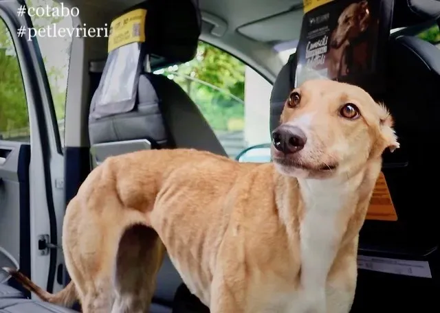 IMAGE 2019 07 12 12 19 33