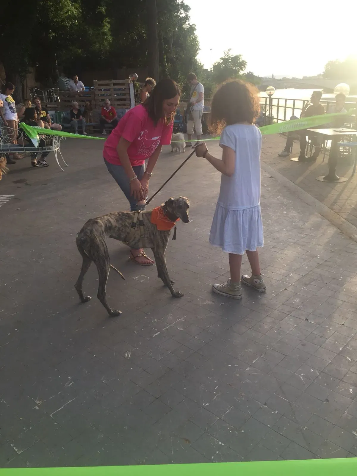 IMG 20180612 WA0014 1