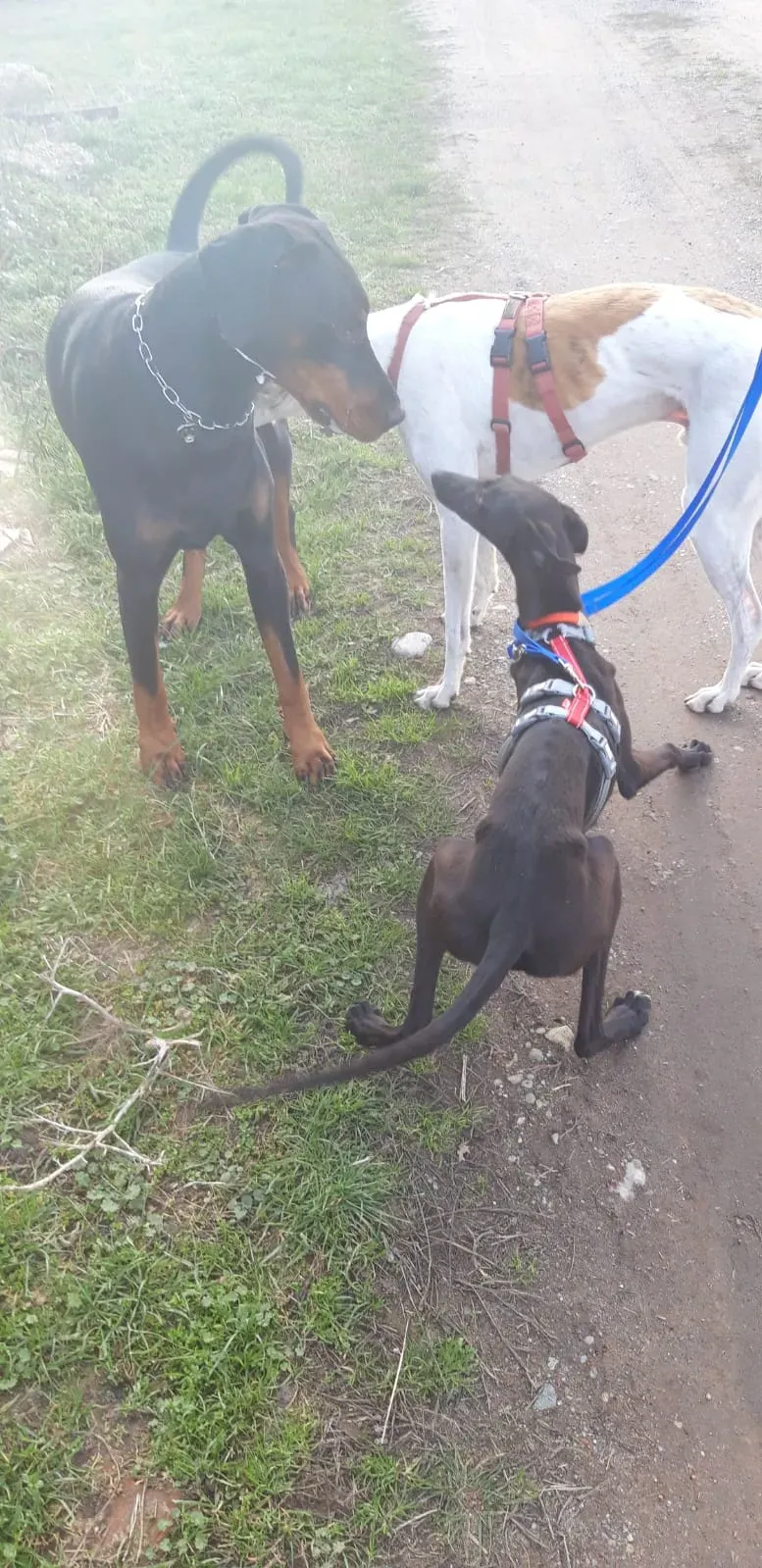 IMG 20210227 WA0108 1