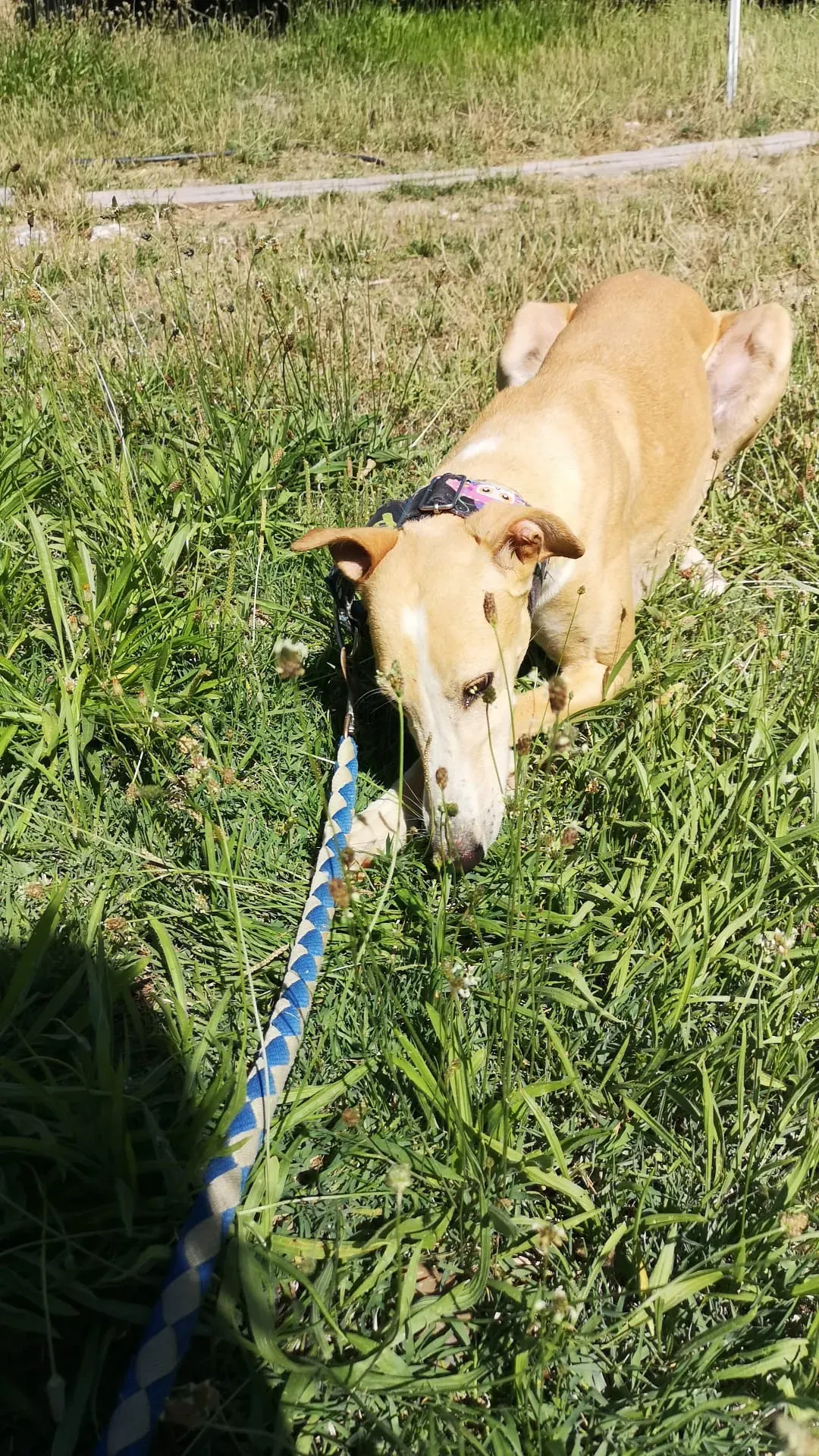 IMG 20210701 WA0102 1