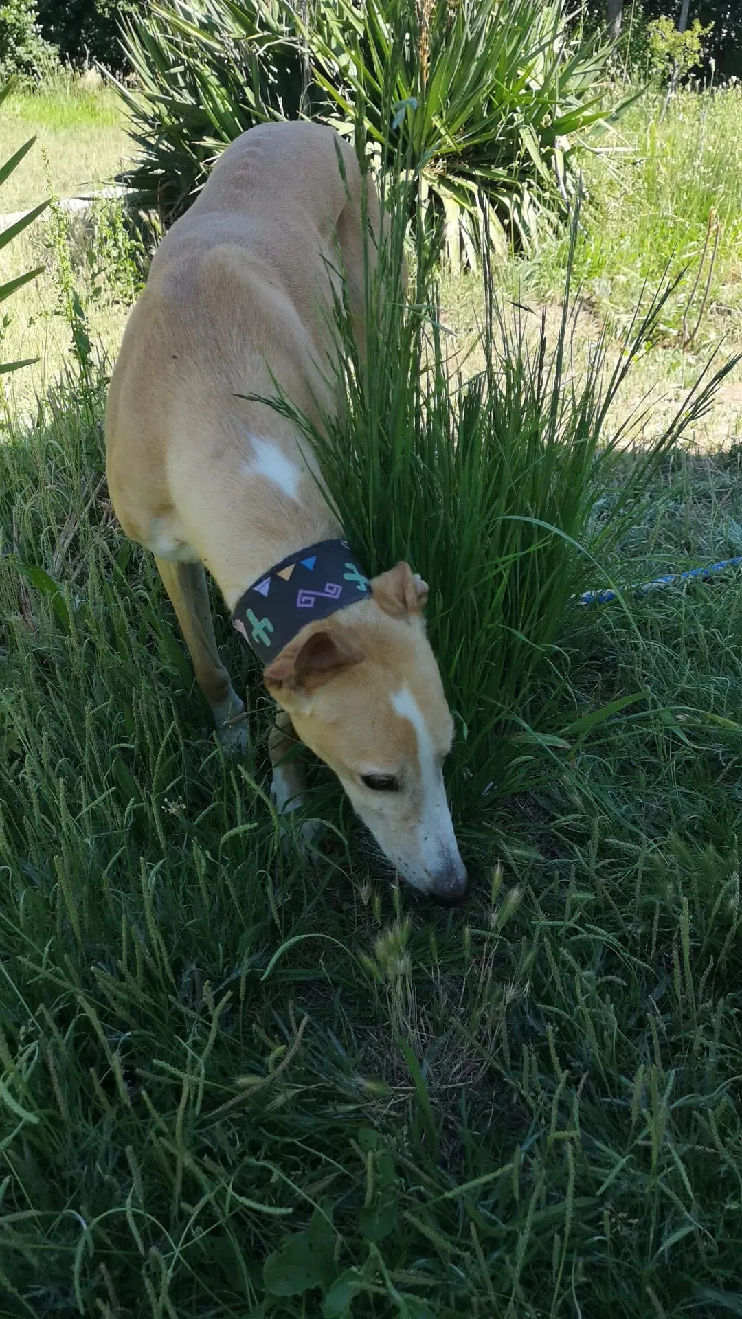 IMG 20210701 WA0105 1