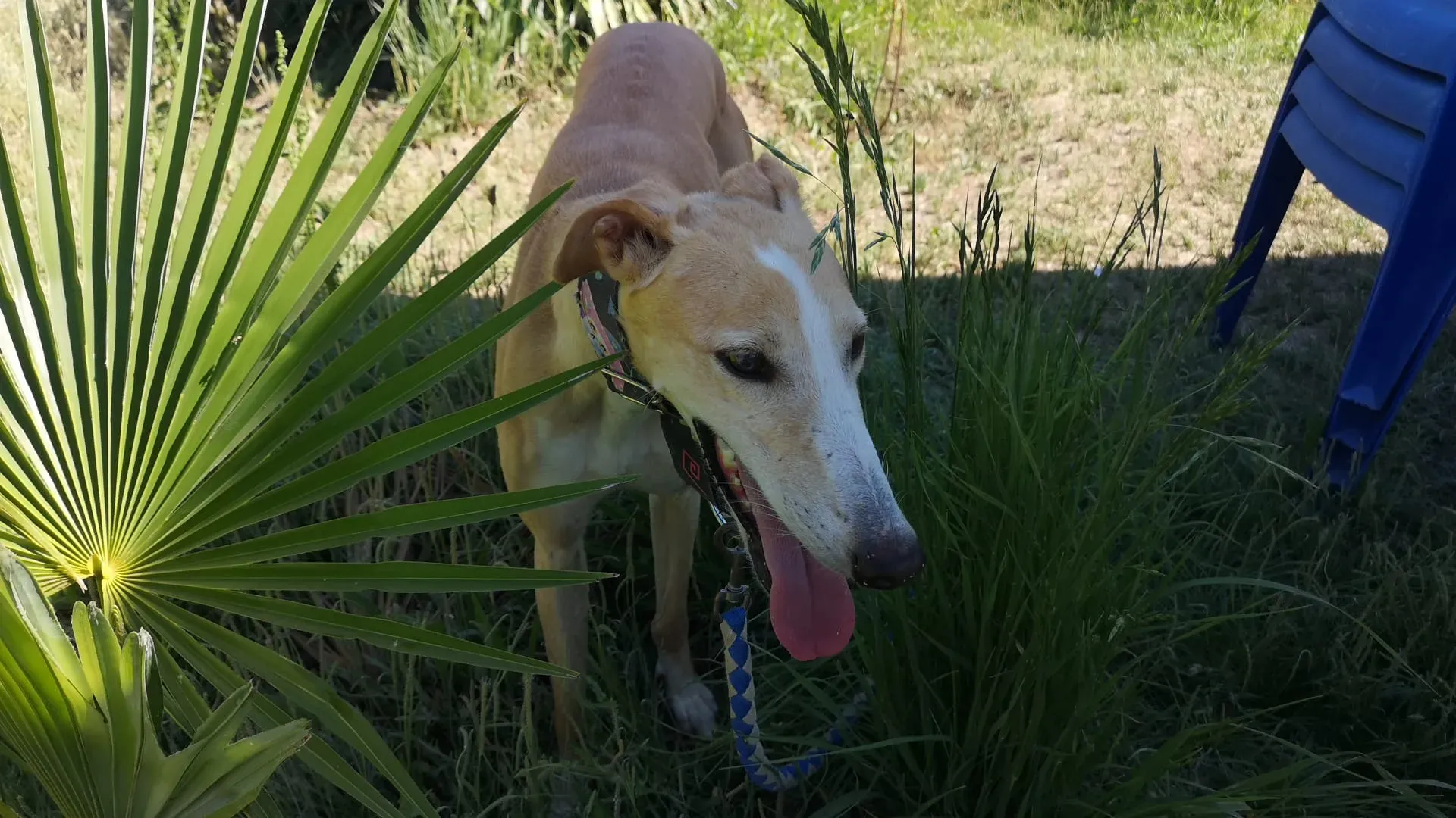 IMG 20210701 WA0107 1