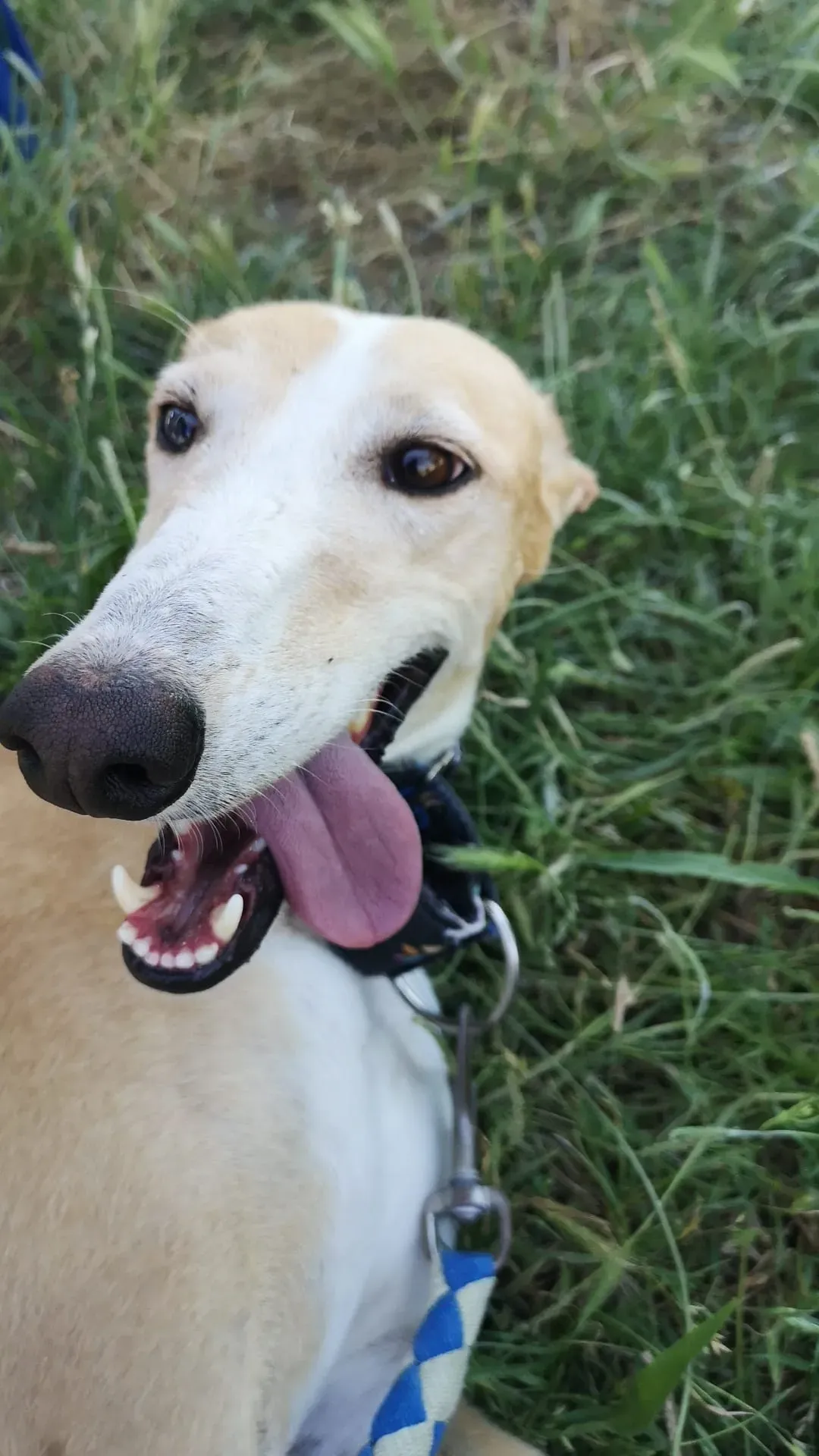 IMG 20210701 WA0109 1