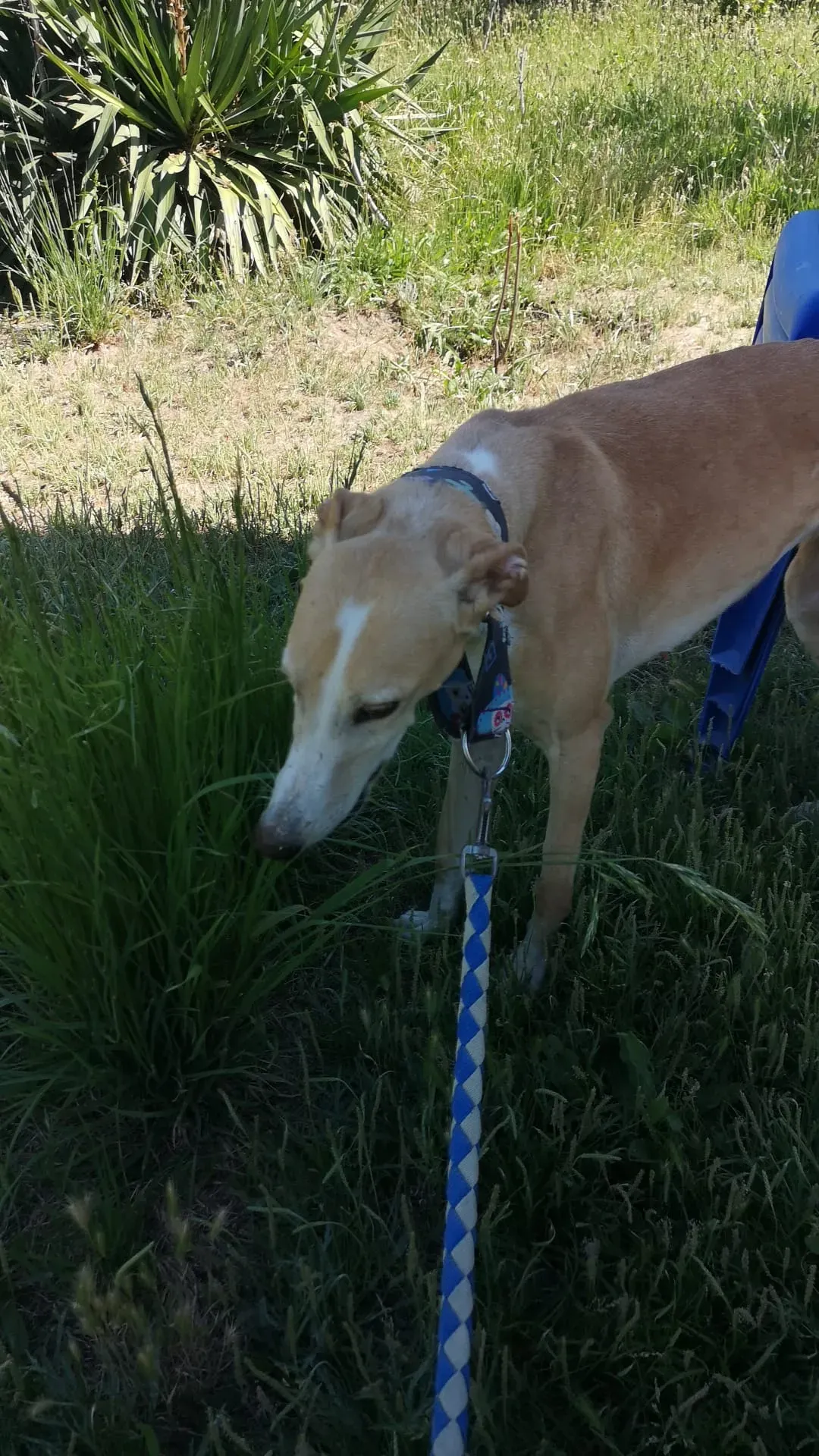 IMG 20210701 WA0121 1