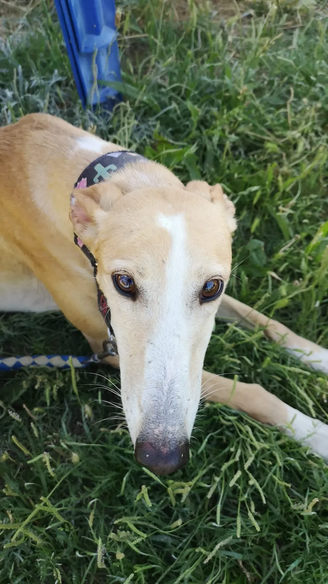 IMG 20210701 WA0122 1