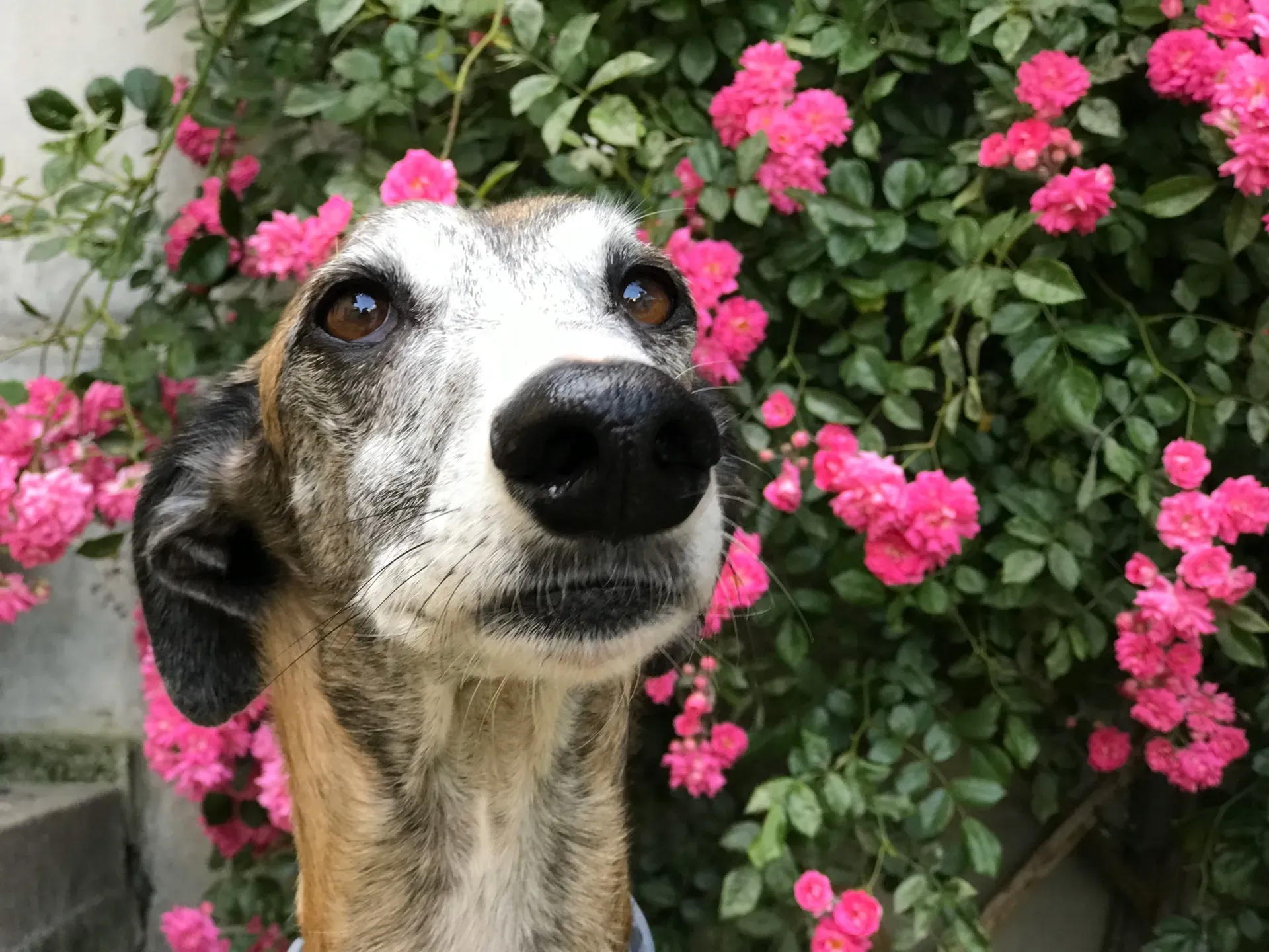 IMG 0874 09 11 19 14 32