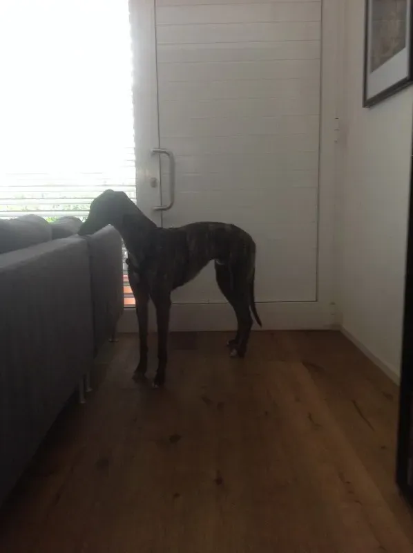 IMG 0915 e1433603478356