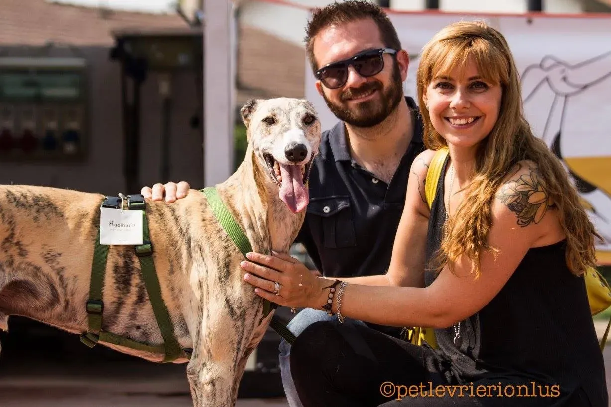 IMG 0992 06 08 18 21 44