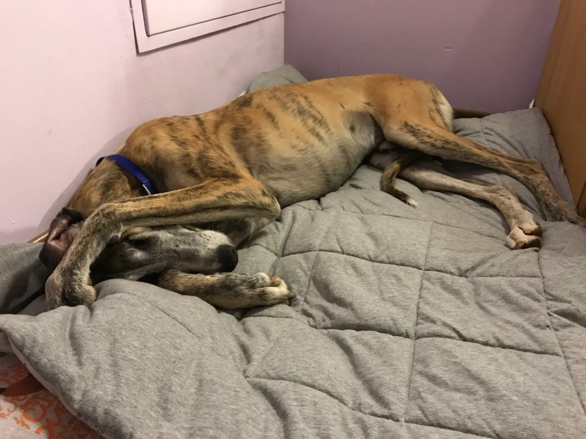 IMG 1231 10 04 18 15 29