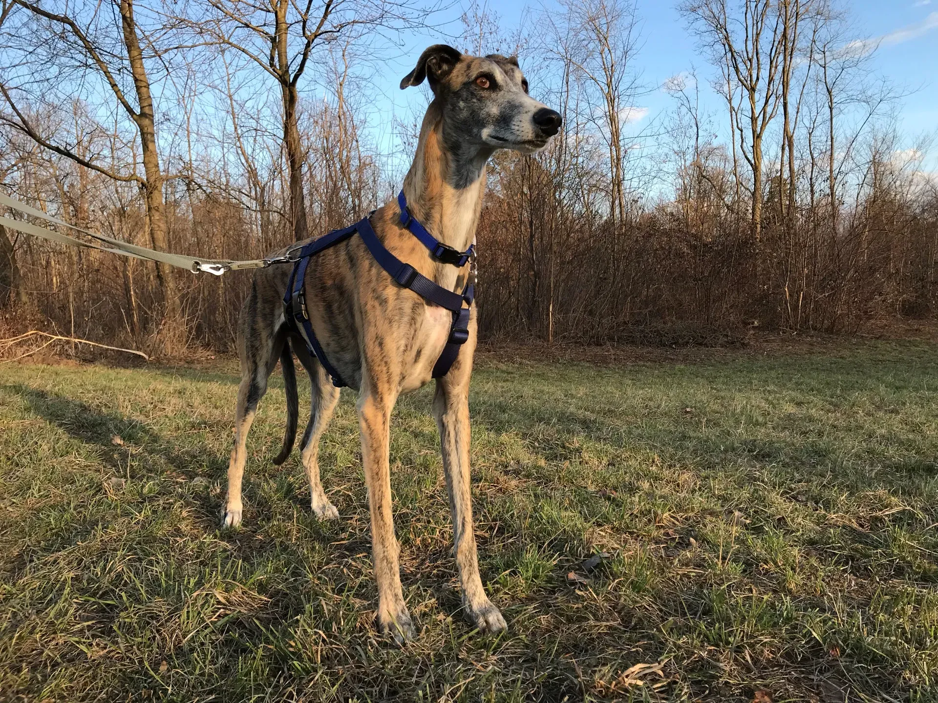 IMG 1659 10 04 18 15 29