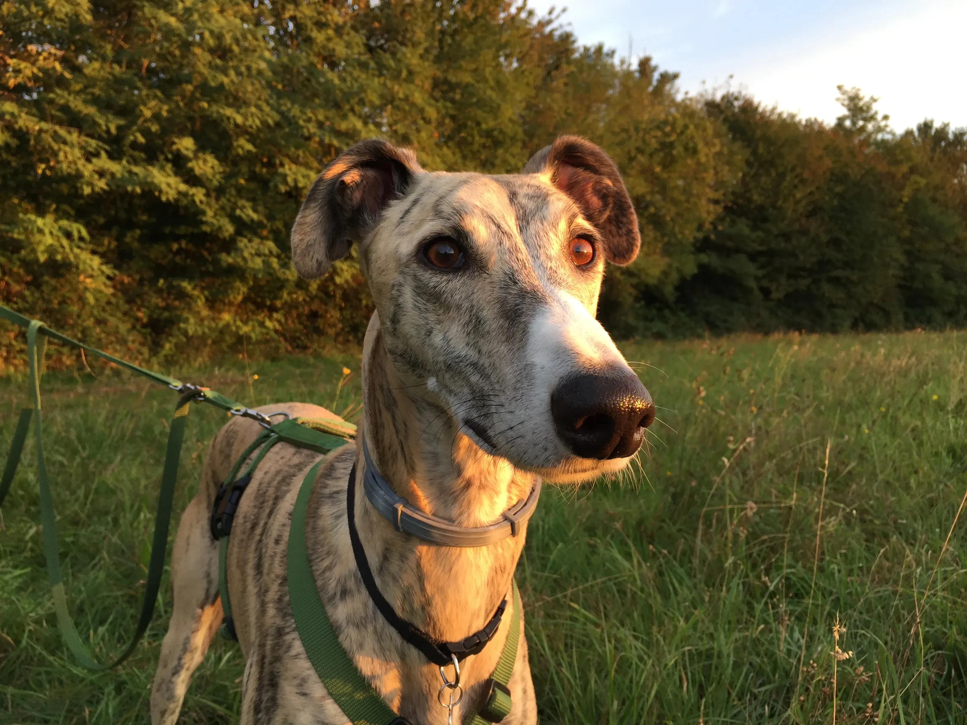 IMG 1804 06 08 18 21 58