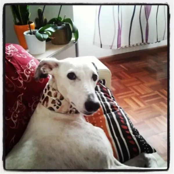 IMG 20130312 1608351