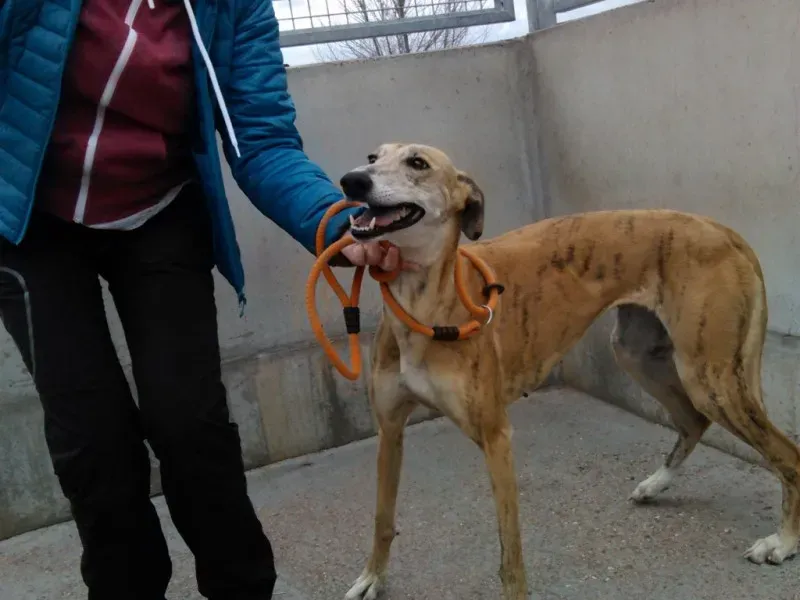 IMG 20170214 151615 1