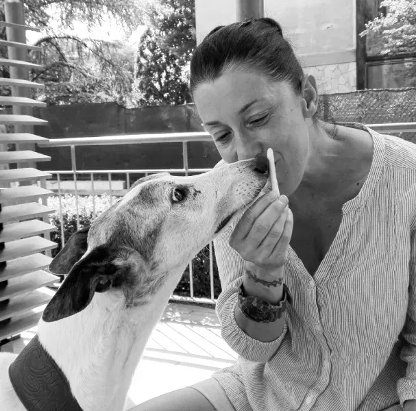 IMG 20170728 173731 197