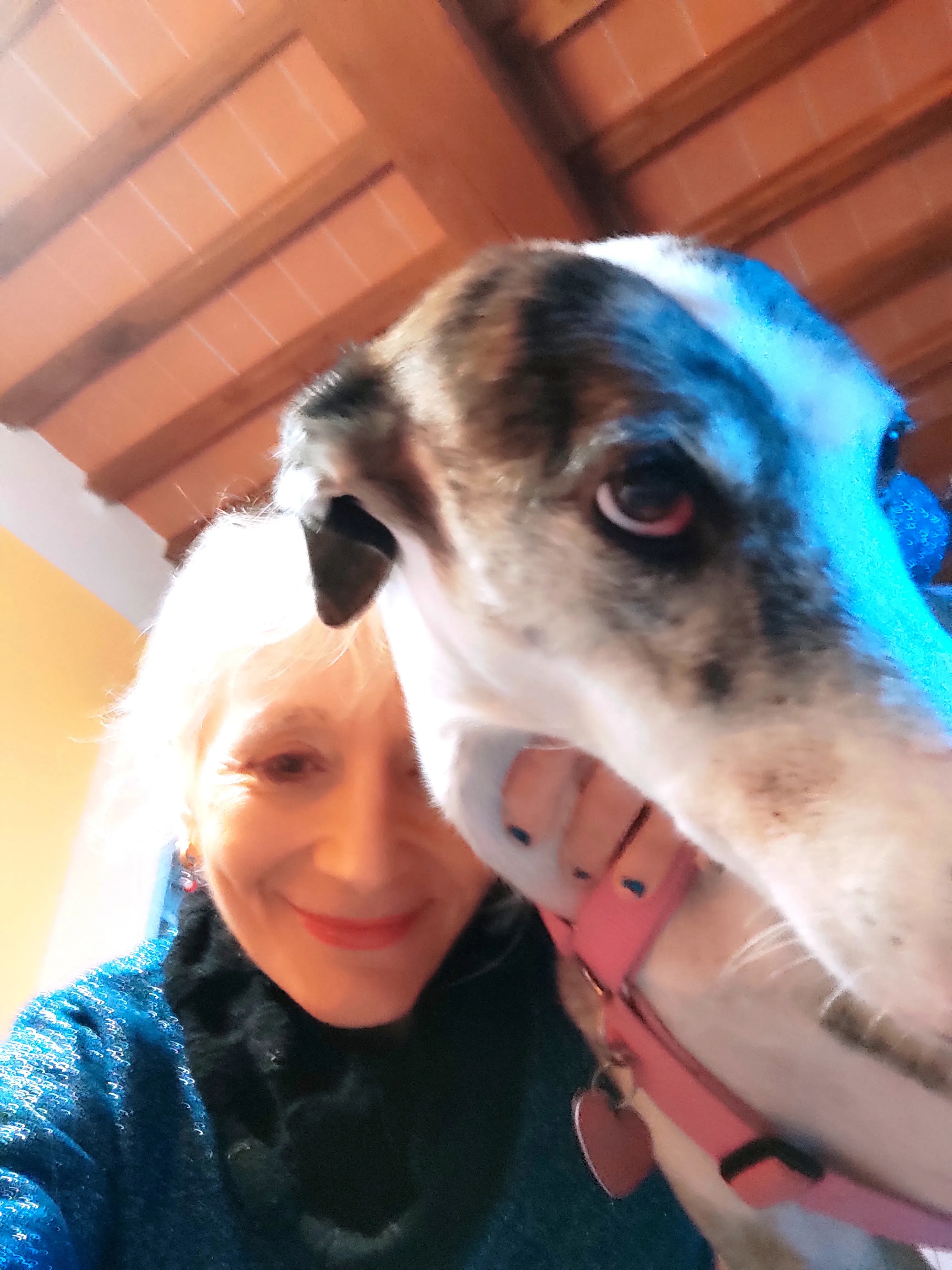 IMG 20211224 132617 1