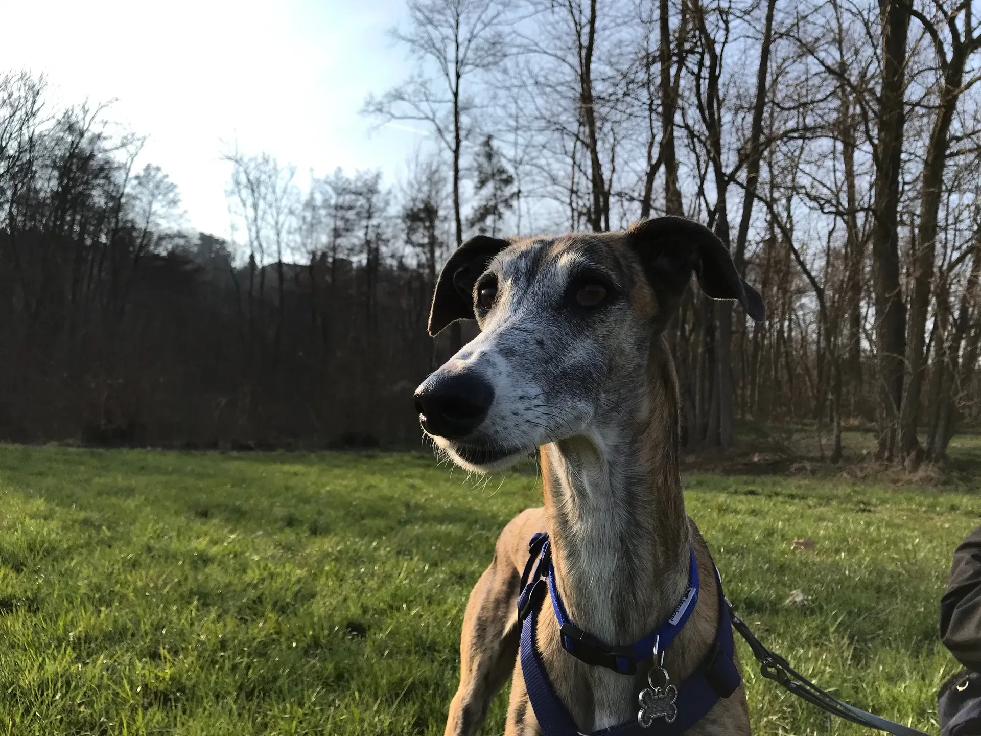 IMG 2207 10 04 18 15 29