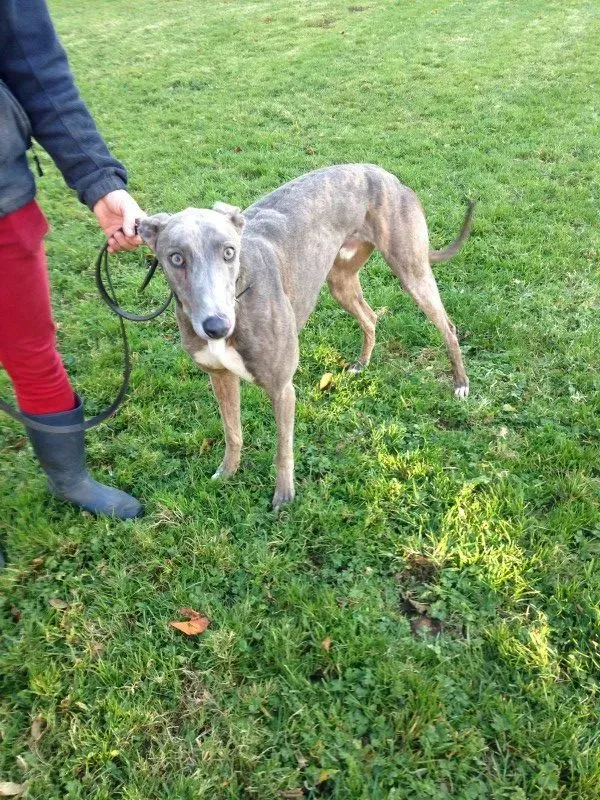 IMG 2231 e1478194139208