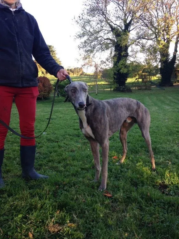 IMG 2232 e1478194169199