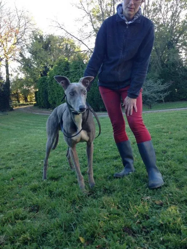 IMG 2238 e1478194187599