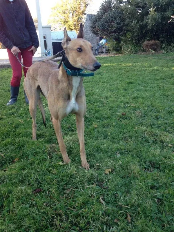 IMG 2246 e1478192232409