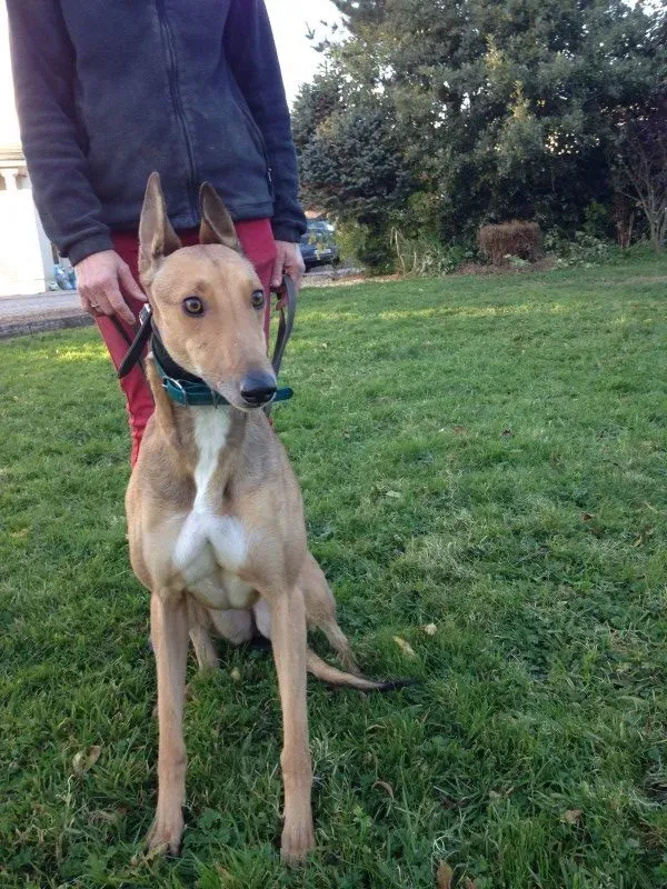 IMG 2251 e1478192328963